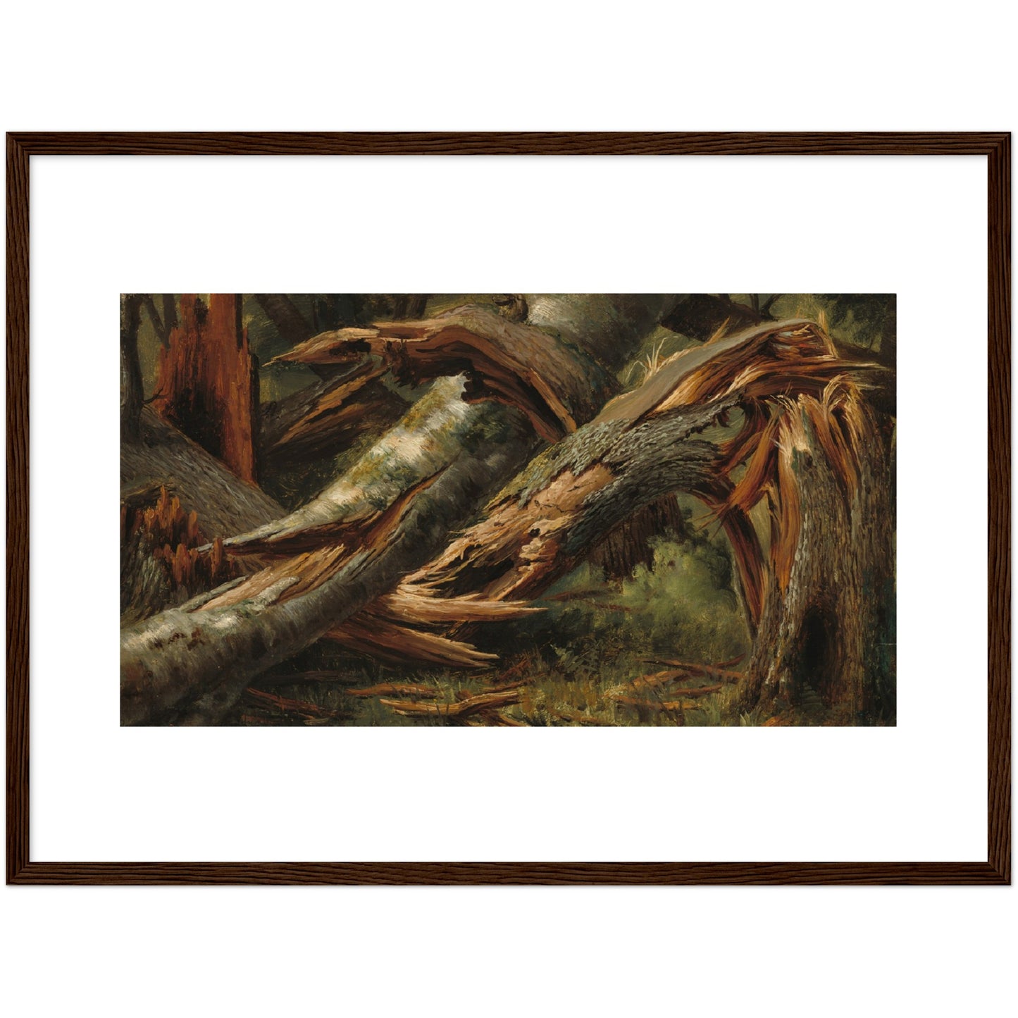 Alexandre Calame : Fallen Tree (1839/1845) - Giclee Fine Art Print