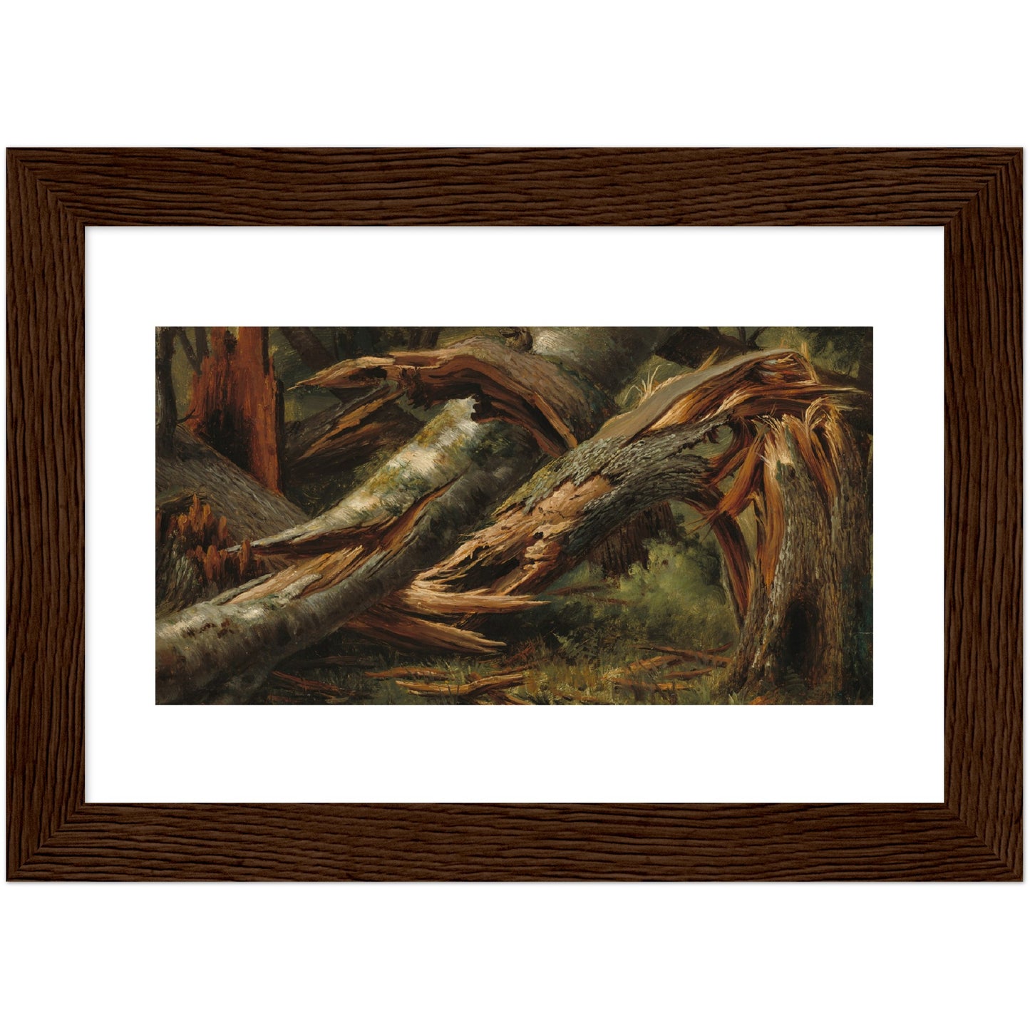 Alexandre Calame : Fallen Tree (1839/1845) - Giclee Fine Art Print