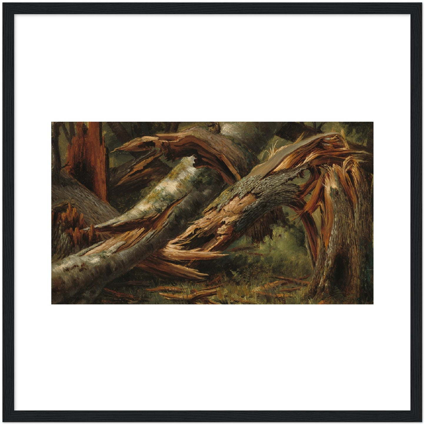 Alexandre Calame : Fallen Tree (1839/1845) - Giclee Fine Art Print