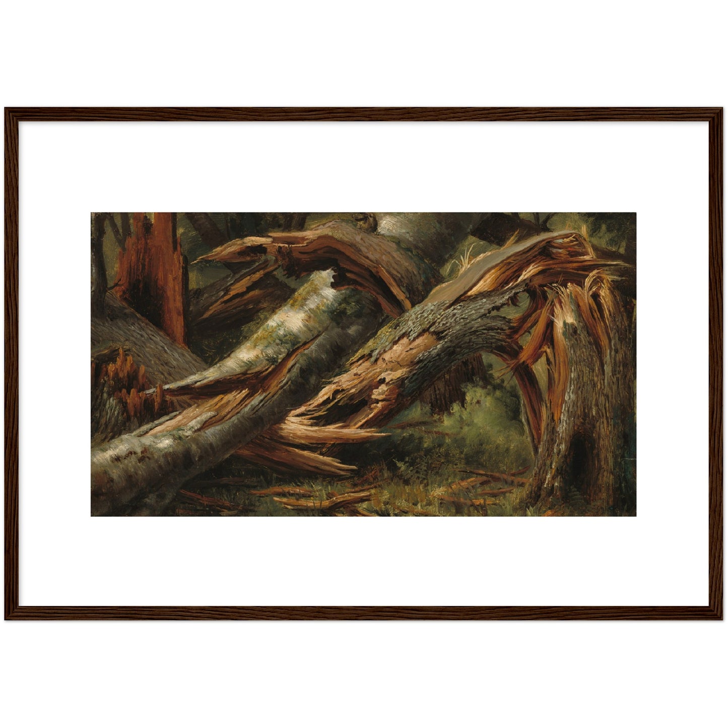 Alexandre Calame : Fallen Tree (1839/1845) - Giclee Fine Art Print