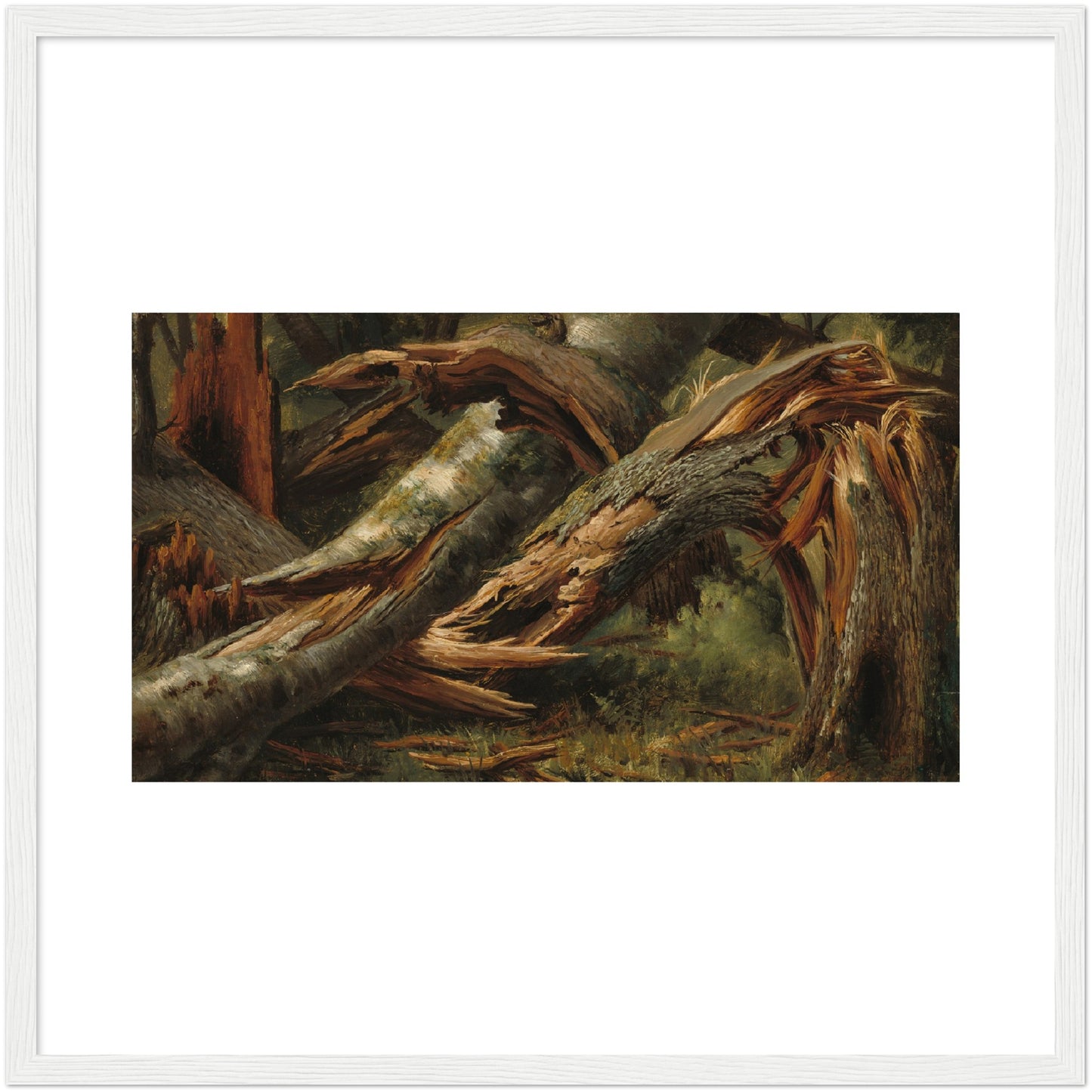 Alexandre Calame : Fallen Tree (1839/1845) - Giclee Fine Art Print