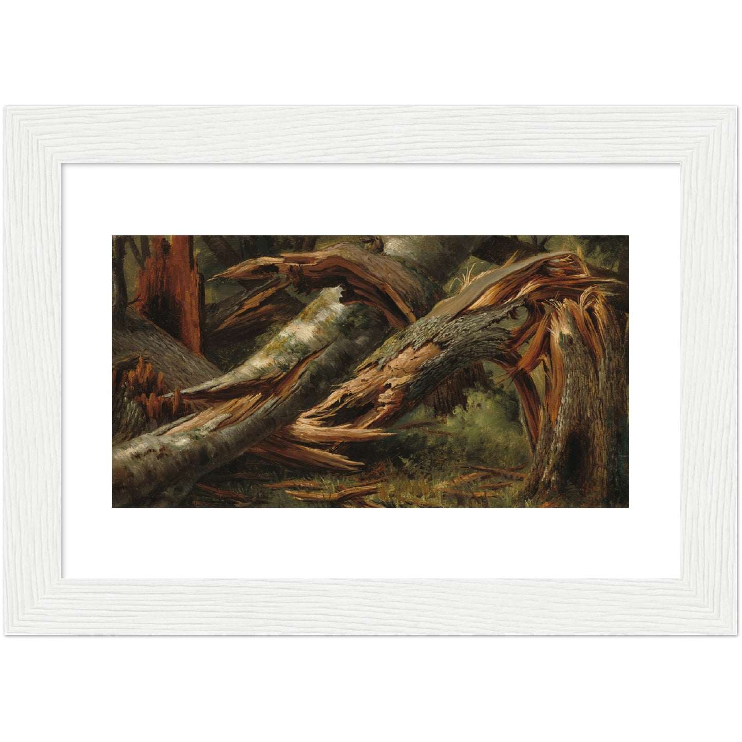 Alexandre Calame : Fallen Tree (1839/1845) - Giclee Fine Art Print