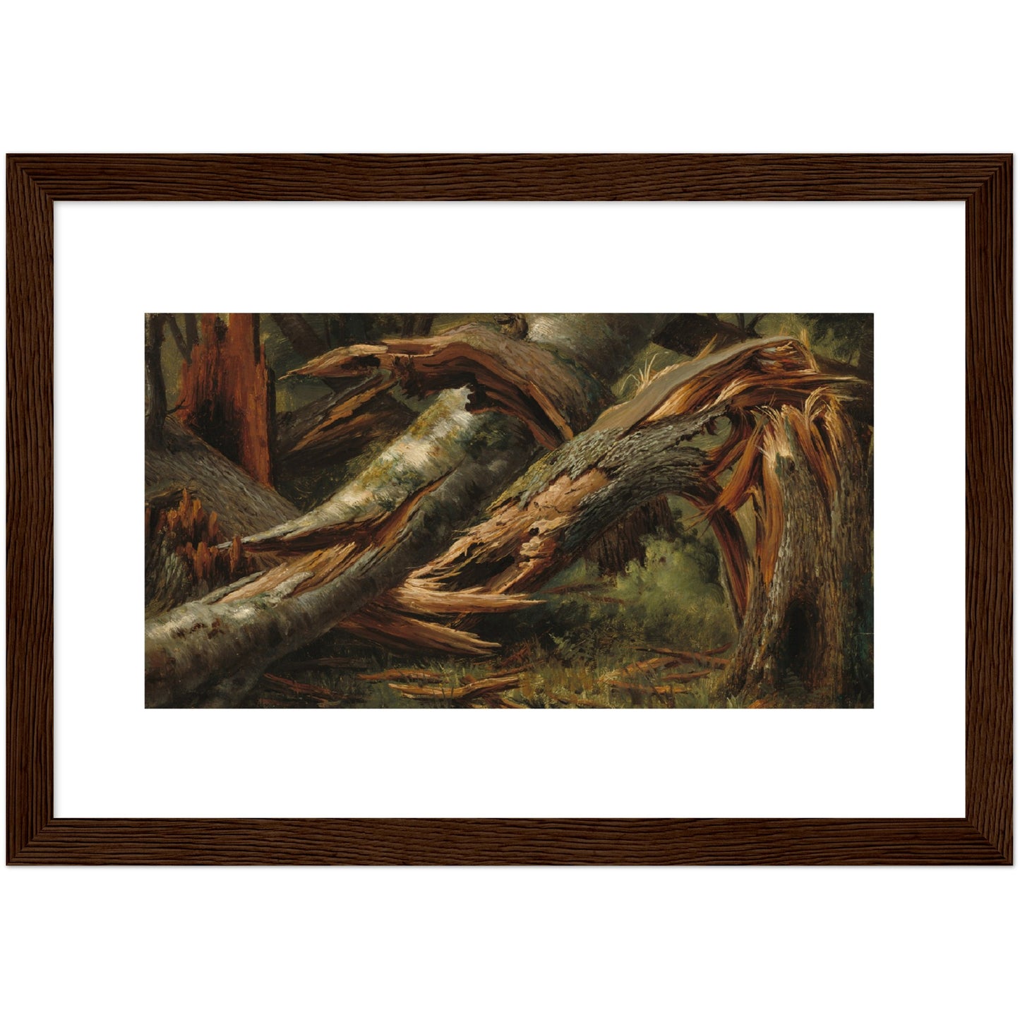 Alexandre Calame : Fallen Tree (1839/1845) - Giclee Fine Art Print