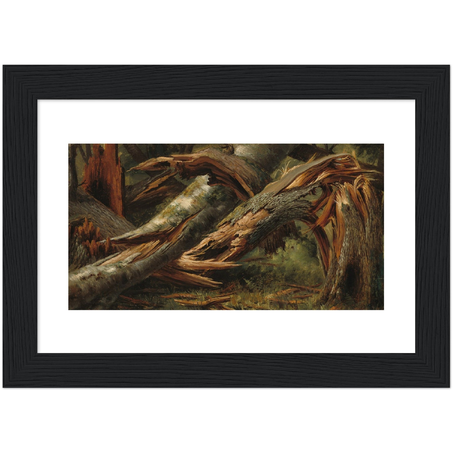 Alexandre Calame : Fallen Tree (1839/1845) - Giclee Fine Art Print