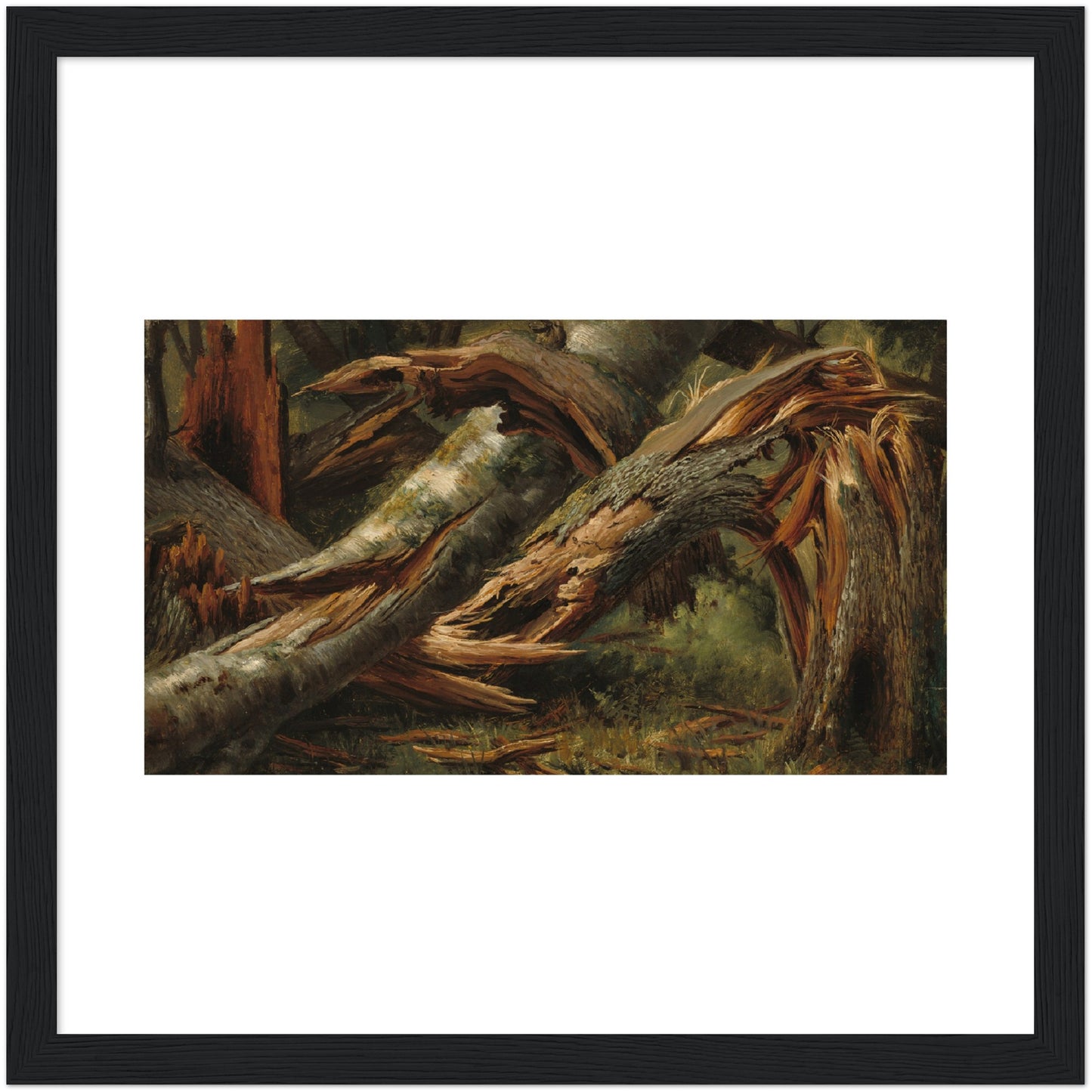 Alexandre Calame : Fallen Tree (1839/1845) - Giclee Fine Art Print